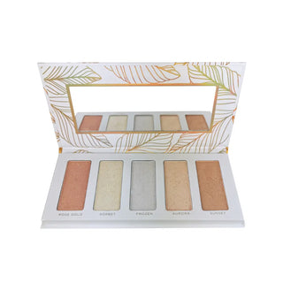 Body Collection Highlighter Palette Technic