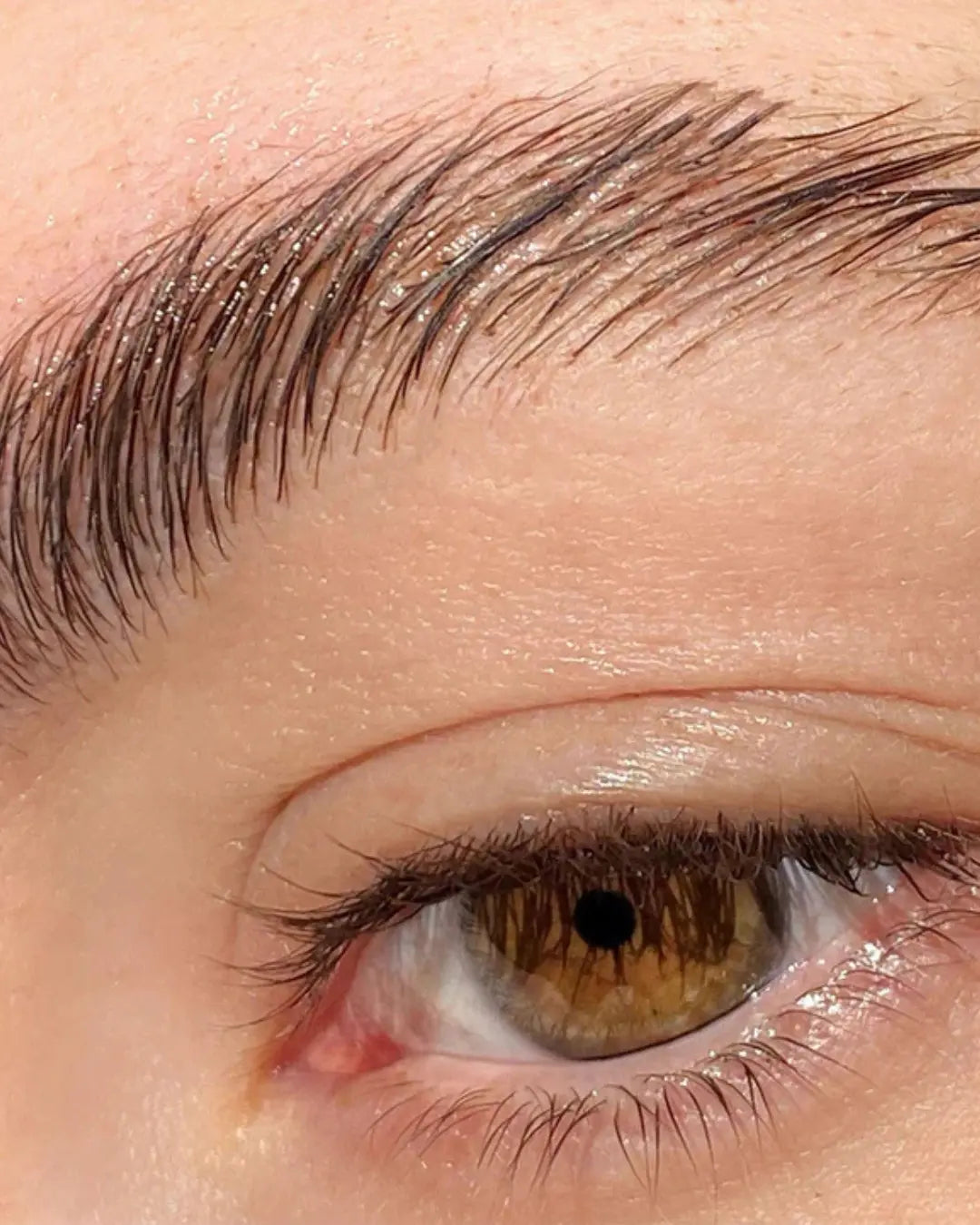 Brow Fixer Technic