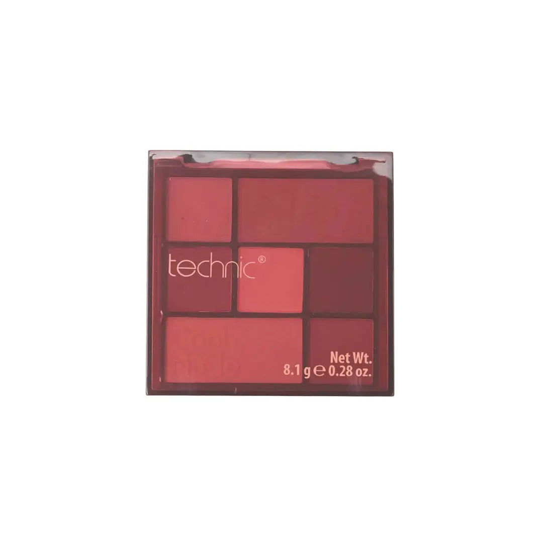 Pressed Pigment Palette Technic
