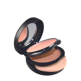 Technic Colourfix 2 in 1 Foundation Technic