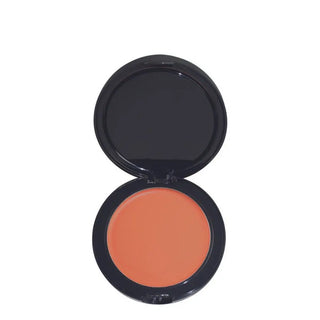 Technic Colourfix 2 in 1 Foundation Technic