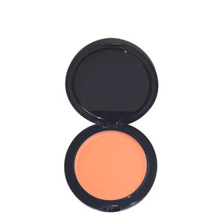 Technic Colourfix 2 in 1 Foundation Technic